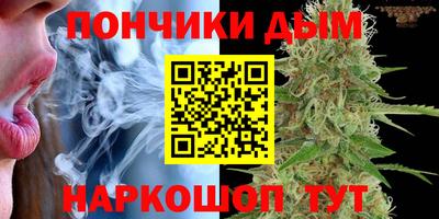 молекула духа Кандалакша