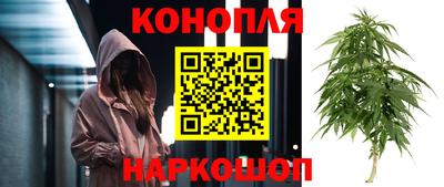 ECSTASY Камышлов