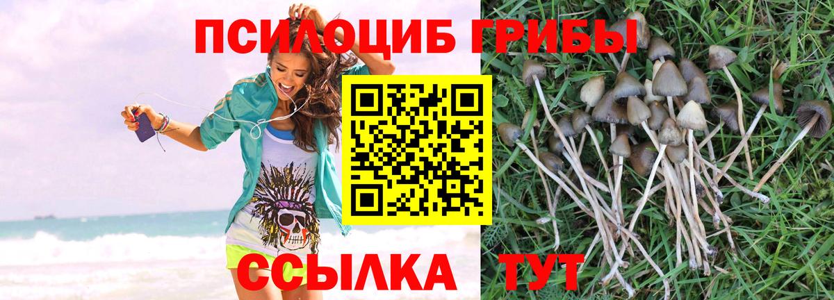 как найти закладки  Вход с VPN  Галлюциногенные грибы GOLDEN TEACHER  Красноперекопск  Галлюциногенные грибы MAGIC MUSHROOMS 
