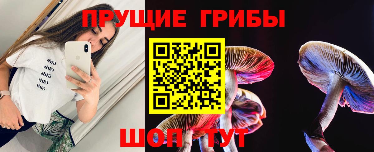 Псилоцибиновые грибы прущие грибы Красноперекопск